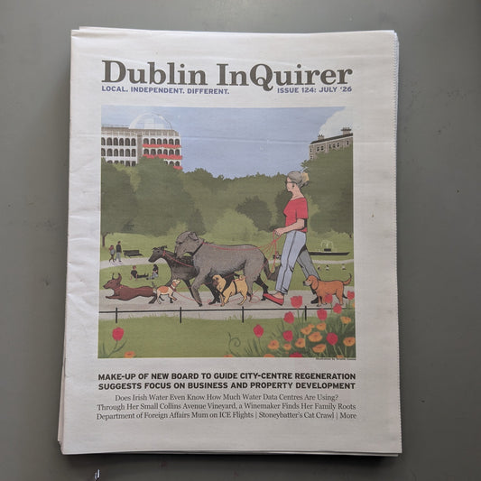 Dublin Inquirer: Issue 124