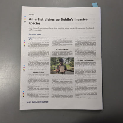 Dublin Inquirer: Issue 114