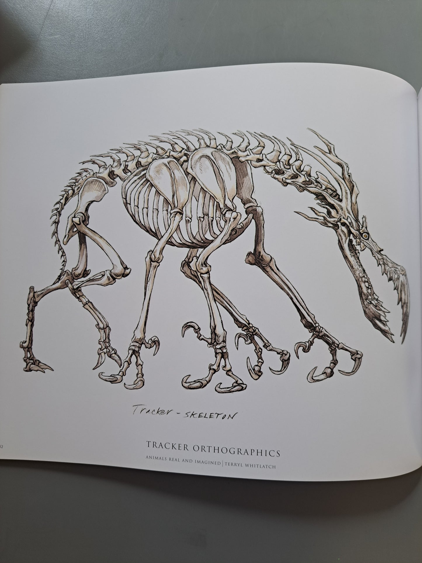 Animals Real and Imagined