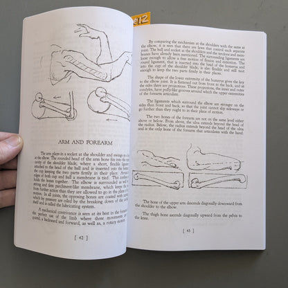 The Human Machine: The Anatomical Structure And Mechanism Of The Human Body