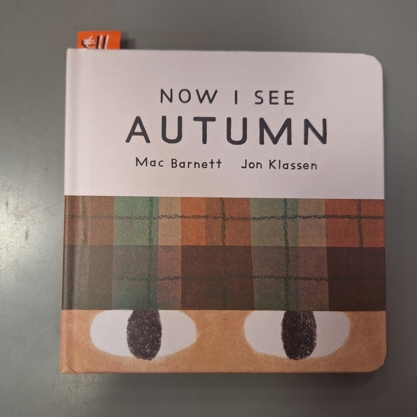Now I See Autumn