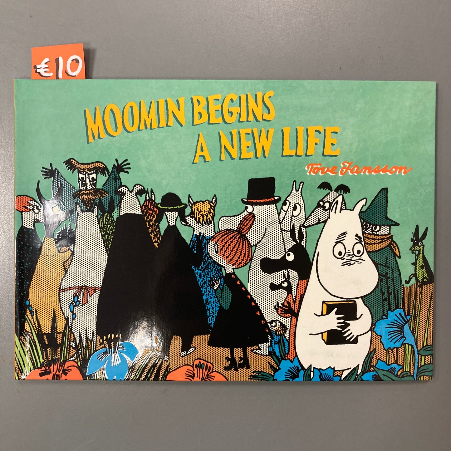 Moomin Begins A New Life