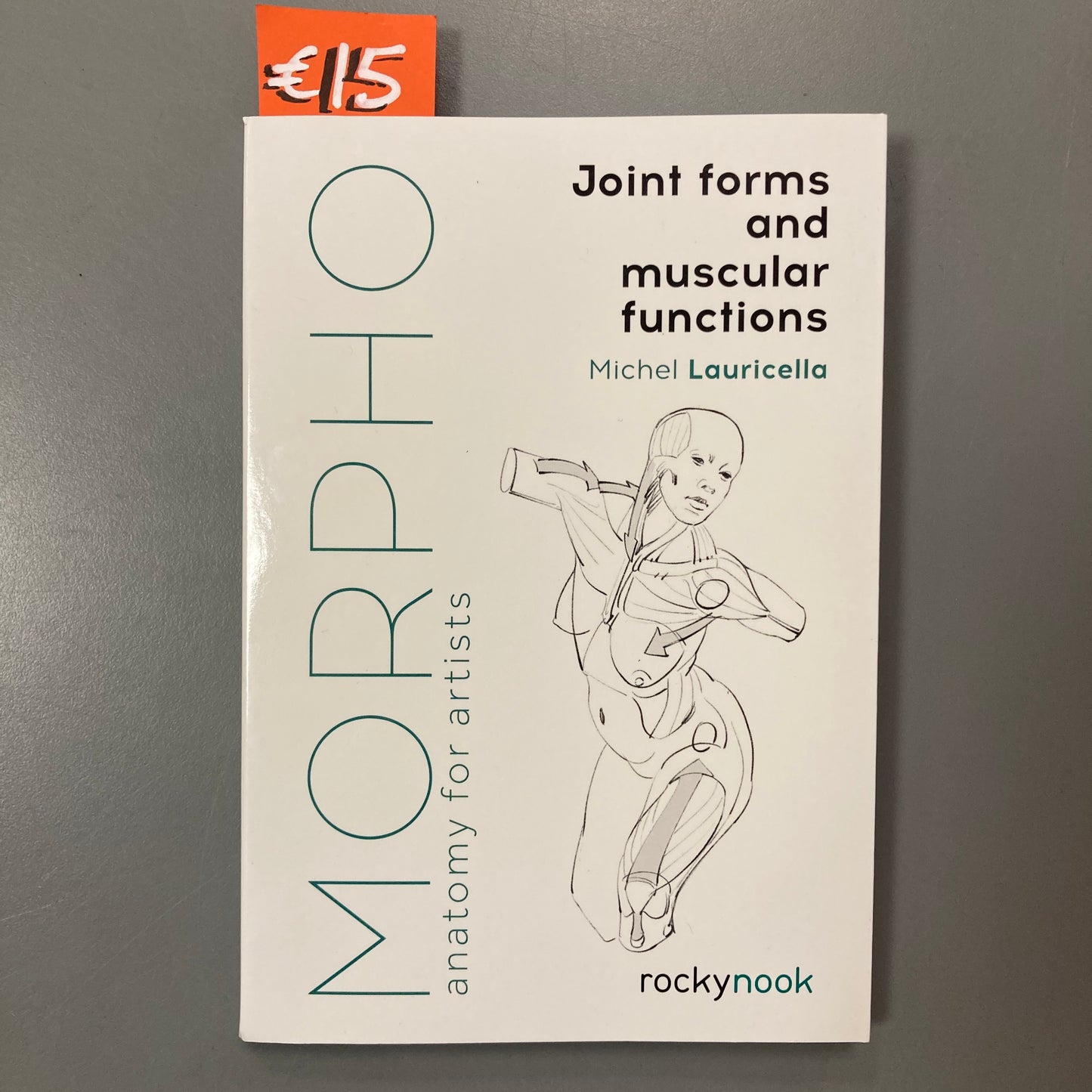 MORPHO: Joint forms and muscular functions