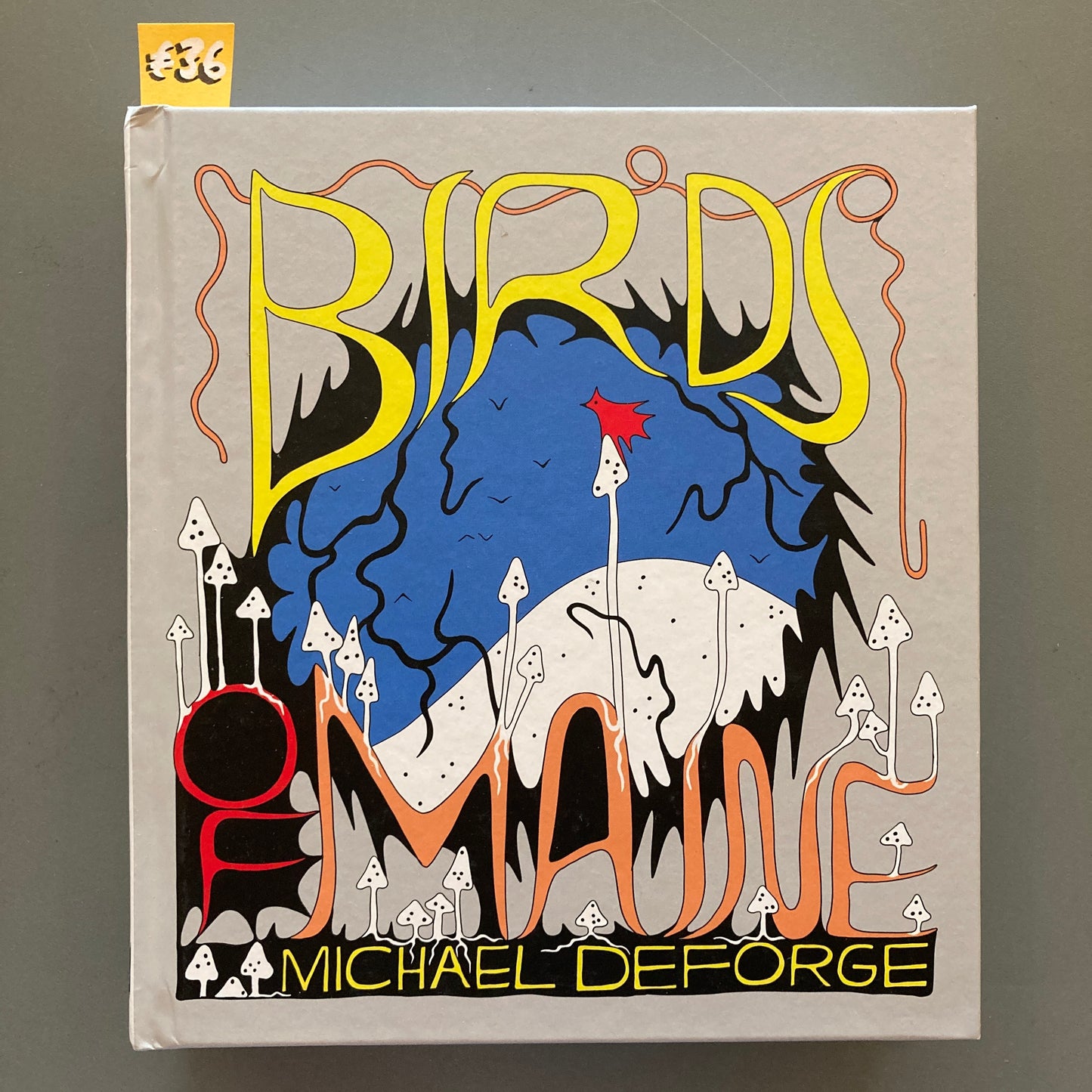 Birds of Maine