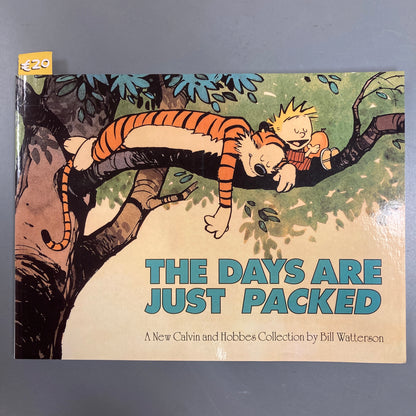 Calvin and Hobbes: The Days Are Just Packed