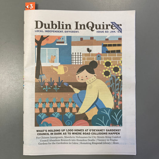 Dublin Inquirer: Issue 82