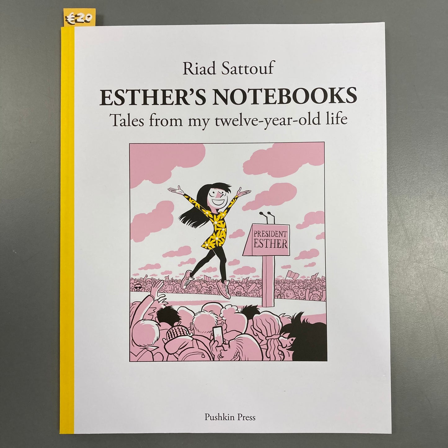 Esther's Notebooks: Tales from my twelve-year-old life