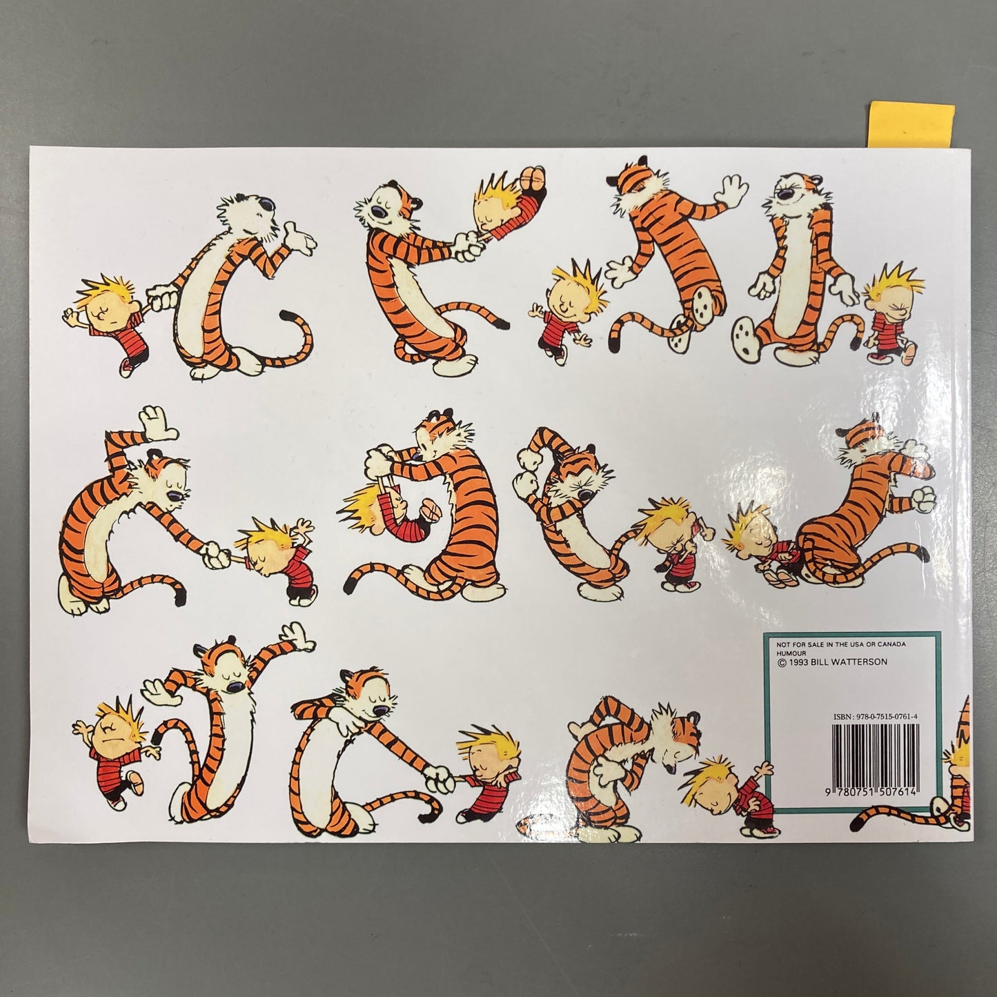 Calvin and Hobbes: The Days Are Just Packed