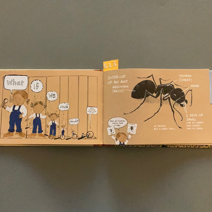 Ants Don’t Wear Pants!