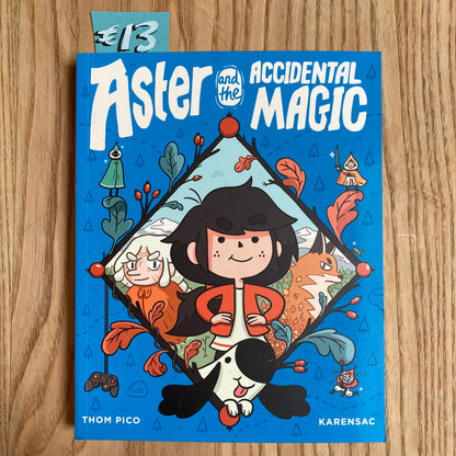 Aster And The Accidental Magic